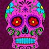 Aesthetic Folk Art Skull paint by number