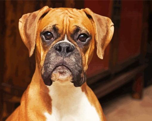 Boxer Dog paint by numbers