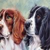 English Springer Spaniel Dogs paint by numbers