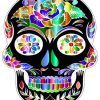 Colorful Black Folk Art Skull paint by number