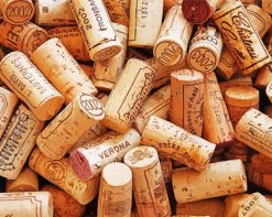 Cork Paint by numbers