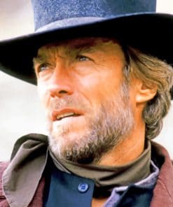 Cowboy Clint Eastwood paint by numbers