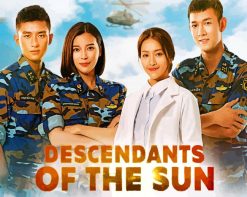 Descendants Of The Sun Serie paint by number