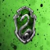 Hogwarts Harry Potter Slytherin paint by number