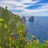 Capri The Italian Island Paint by numbers