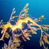 Leafy seadragon paint by numbers