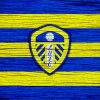 Leeds United Football Logo Paint by numbers