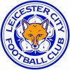 Leicester City Logo Paint by numbers