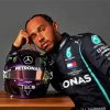 Lewis Hamilton Race Car Driver paint by numbers