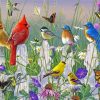 Meadow Menagerie paint by numbers