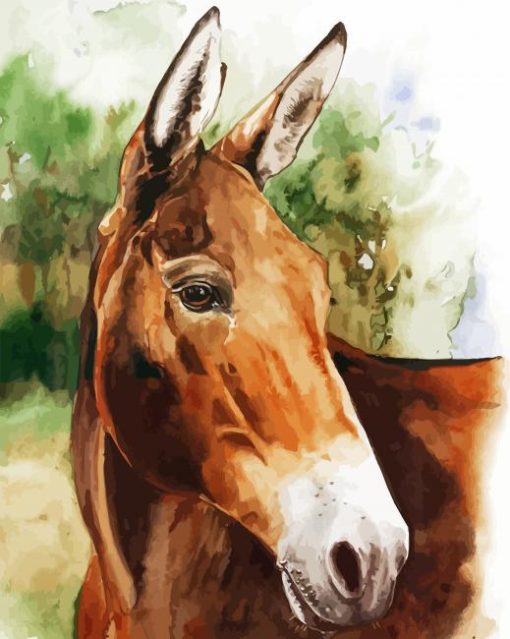 Mule Head paint by numbers