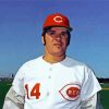 baseball player Pete rose paint by number