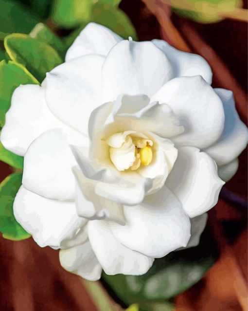 close up Gardenia paint by numbers