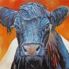 Belted galloway art paint by numbers