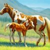 Blonde Paint Horses Art paint by numbers