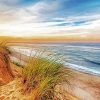 Cape Cod Beach At Sunset paint by numbers