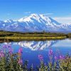 Alaska Denali National Park paint by numbers