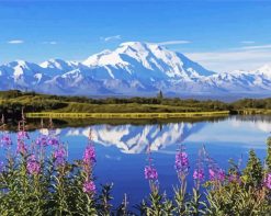 Alaska Denali National Park paint by numbers