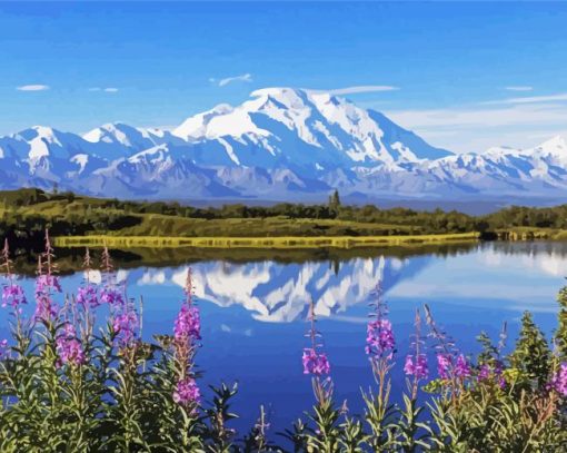 Alaska Denali National Park paint by numbers