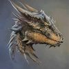 DragonHeart head paint by number