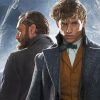 Fantastic Beasts Movie Characters paint by numbers