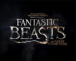 Fantastic Beasts paint by numbers