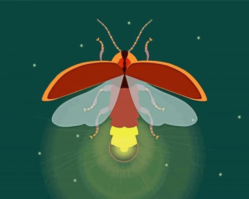 Firefly insect art paint by number