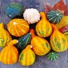 Mixed Gourd Paint by numbers