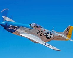 Mustang P51 aircraft paint by numbers