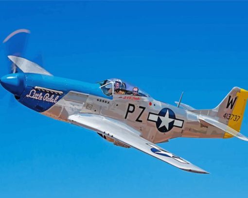 Mustang P51 aircraft paint by numbers