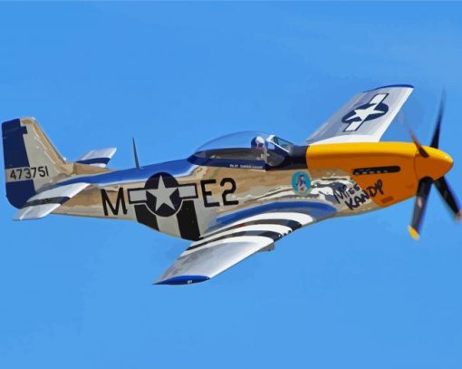 Mustang P51 paint by numbers