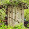 Outhouse In Forest paint by numbers