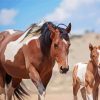 Paint Horse And Foal paint by numbers