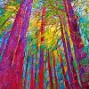 Redwoods Art paint by numbers