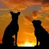 Dogs Silhouette paint by numbers