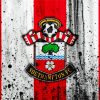 Southampton Football Clu Logo paint by numbers