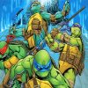 Teenage Mutant Ninja Animation paint by numbers