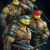 Teenage Mutant Ninja paint by numbers