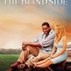 The Blind Side movie poster paint by numbers