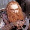 Lord Of The Rings Gimli paint by numbers