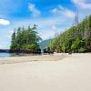 Vancouver island beach paint by number