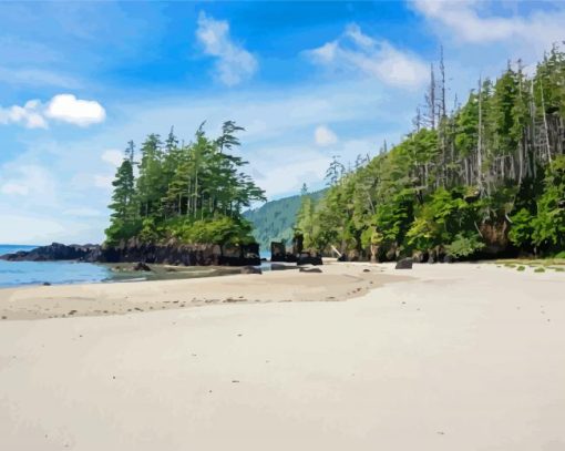 Vancouver island beach paint by number