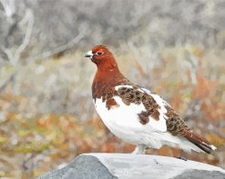 Willow Ptarmigan Bird paint by numbers