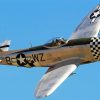 Aesthetic P 47 Thunderbolt paint by numbers