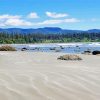 beautiful beach in Vancouver island paint by number