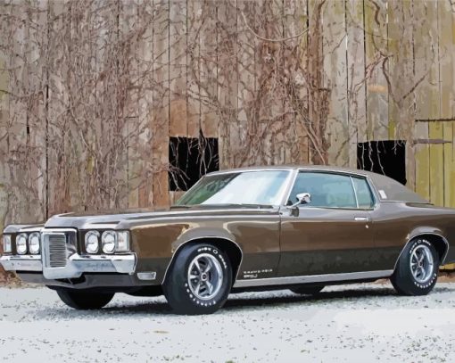 Brown Pontiac 1969 Grand Prix paint by numbers