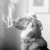 Classy Dog Smoking A Cigarette paint by numbers