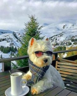 Cool Westie paint by numbers