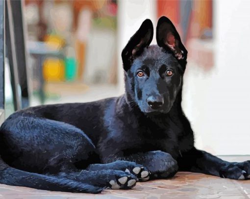 Cute Black Shepherd Puppy paint by numbers