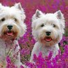 Cute West Highland Terriers paint by numbers